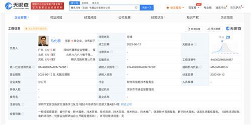 馬化騰任騰訊科技寶安分公司負責人，聚焦信息系統集成服務發展