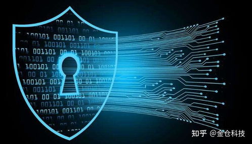 Web3.0、IPFS與Filecoin的協同演進 信息系統集成服務的視角